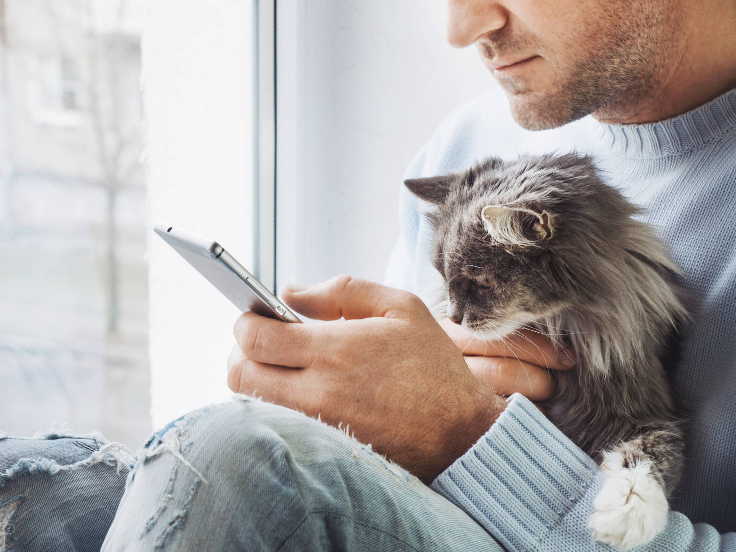 man looking at phone while holding his grey cat