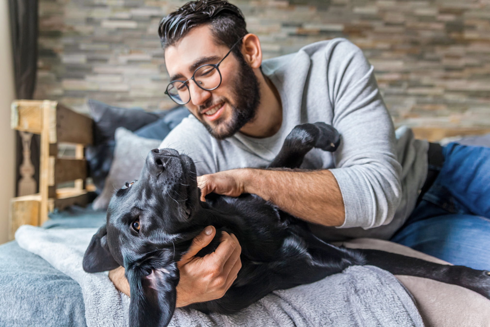 Pet parent playing with black dog