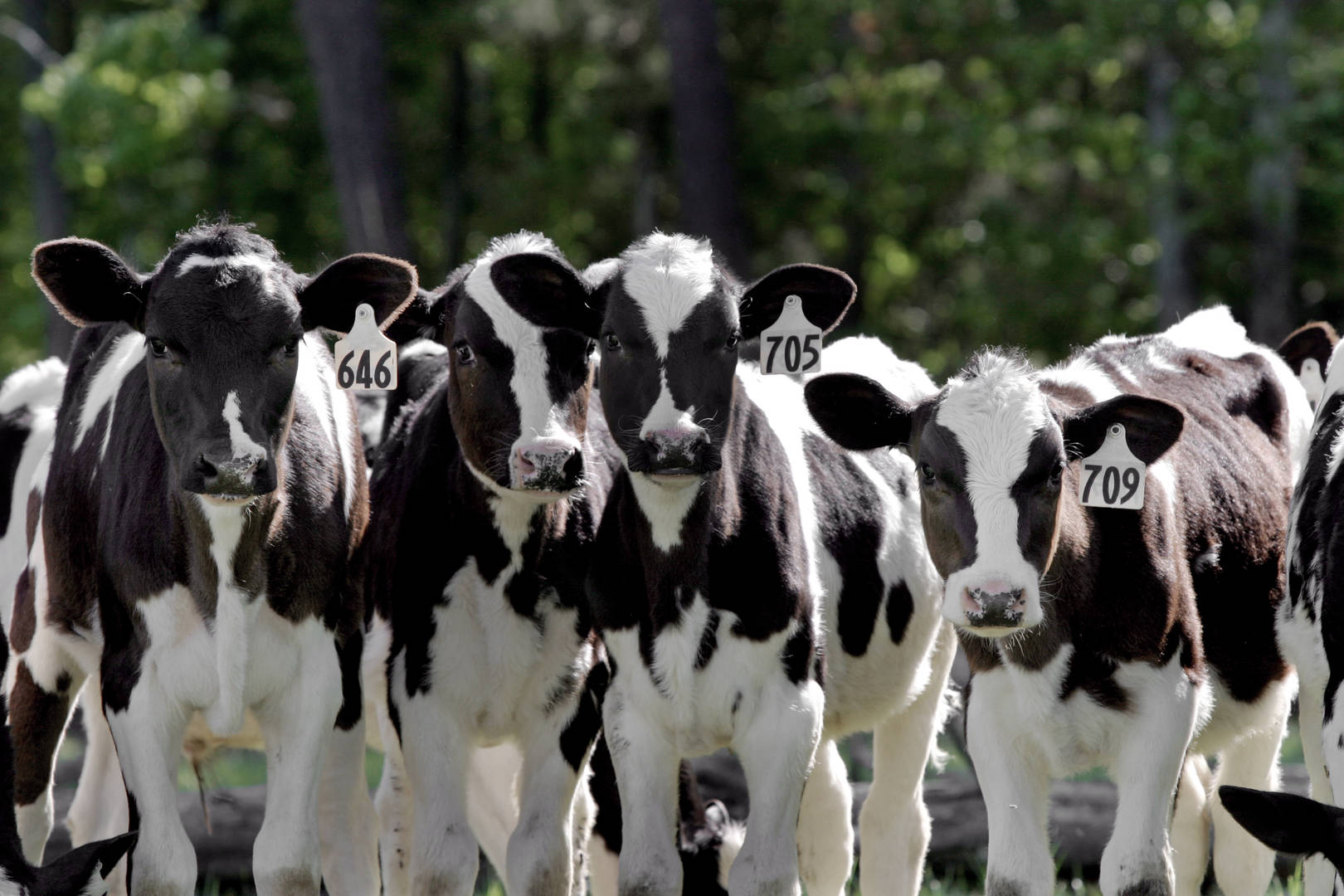 GettyImages-157286480_RGB_Large