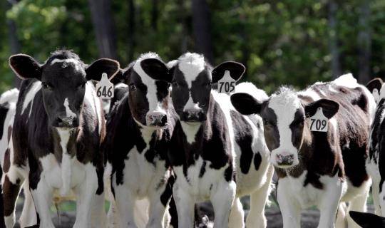 GettyImages-157286480_RGB_Large