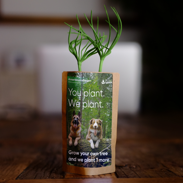 you plant we plant