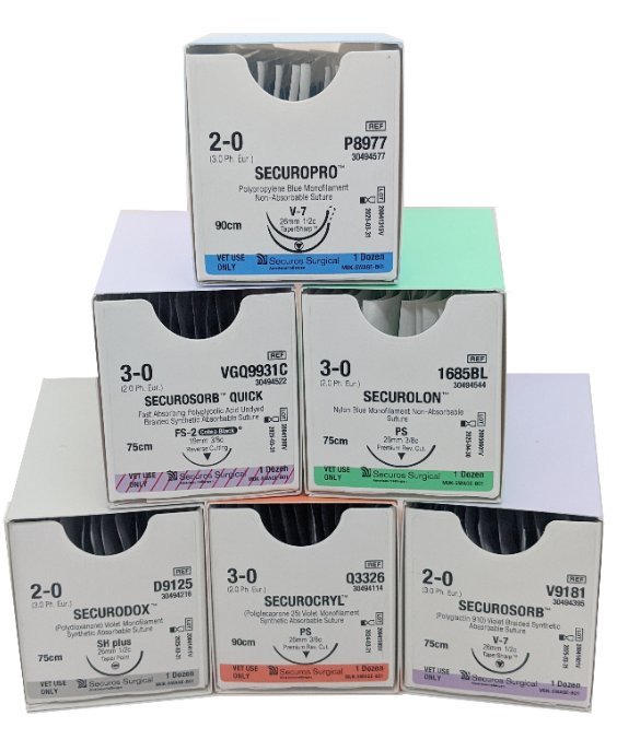 MicrosoftTeams-image (2)