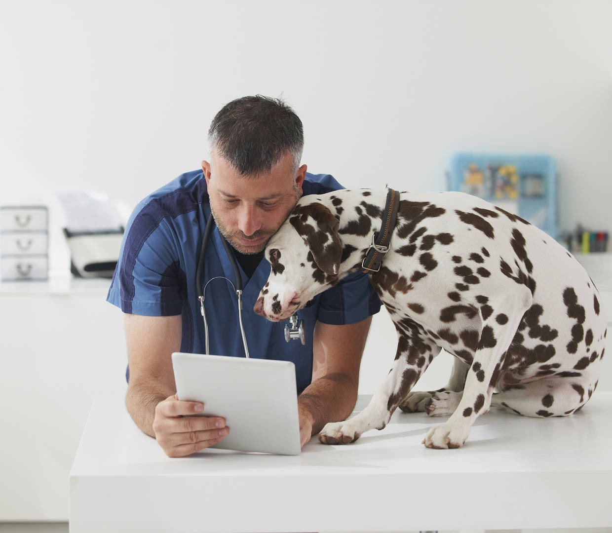 Veterinarian looking at tablet with dog