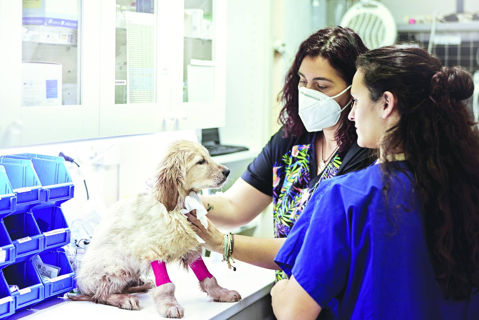 GettyImages-1310827106-CMYK