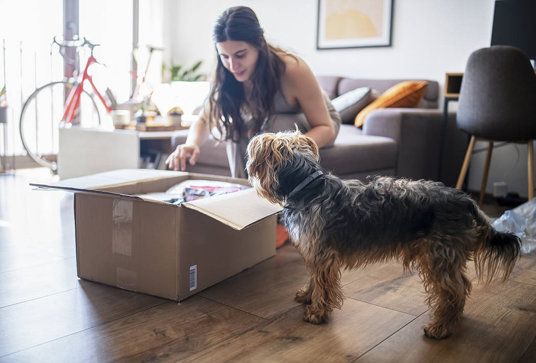 woman opening box with dog