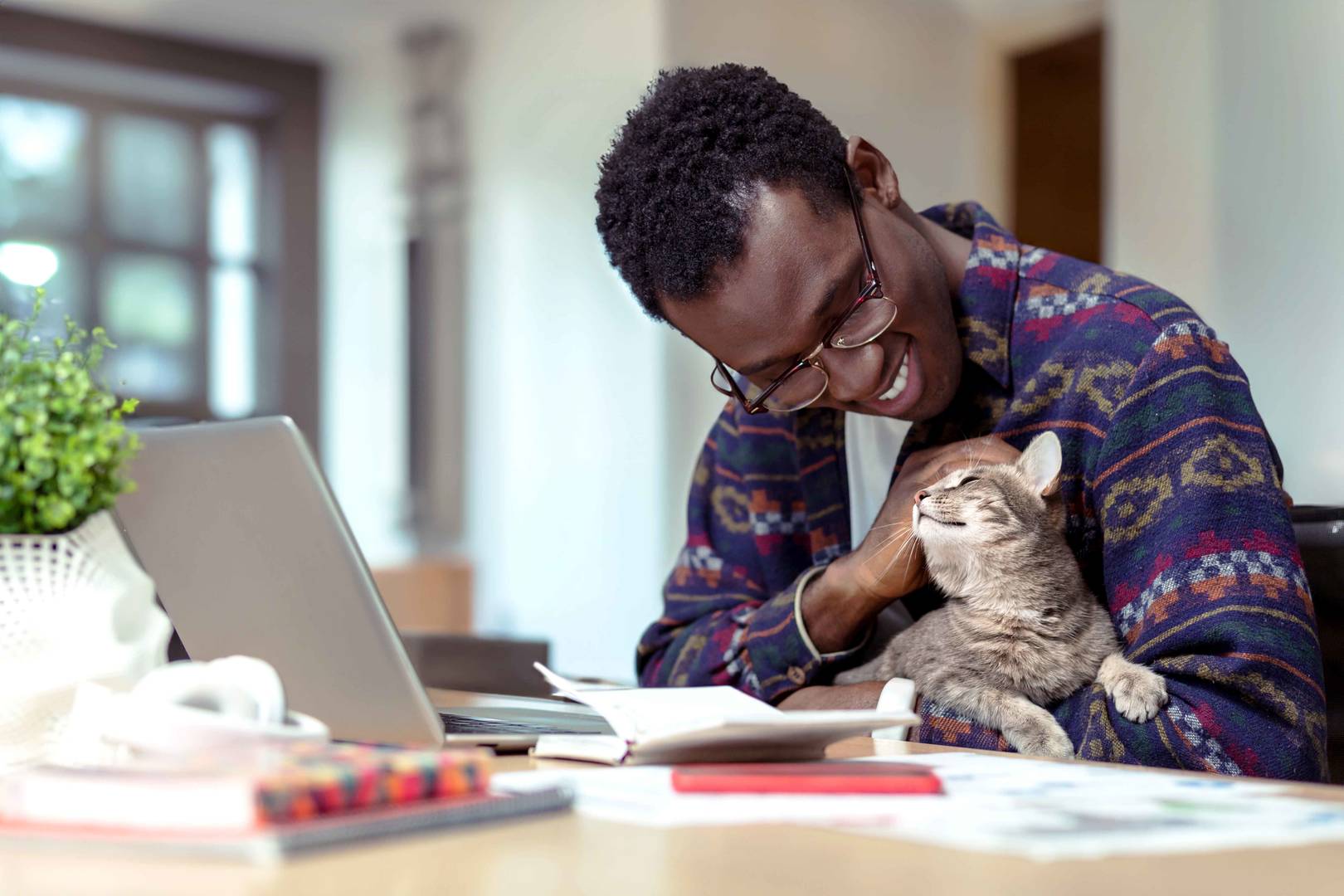Millennial man petting cat in front of laptop