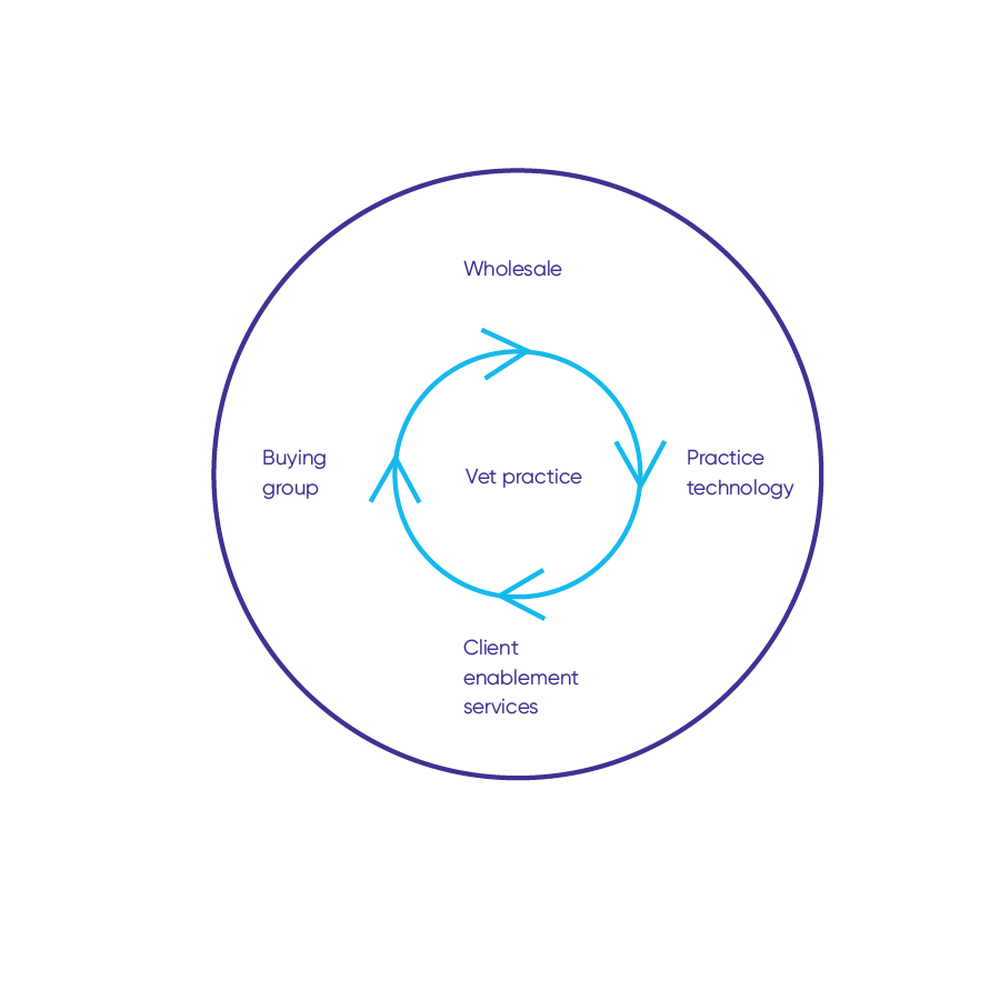 Vet Practice illustration-01