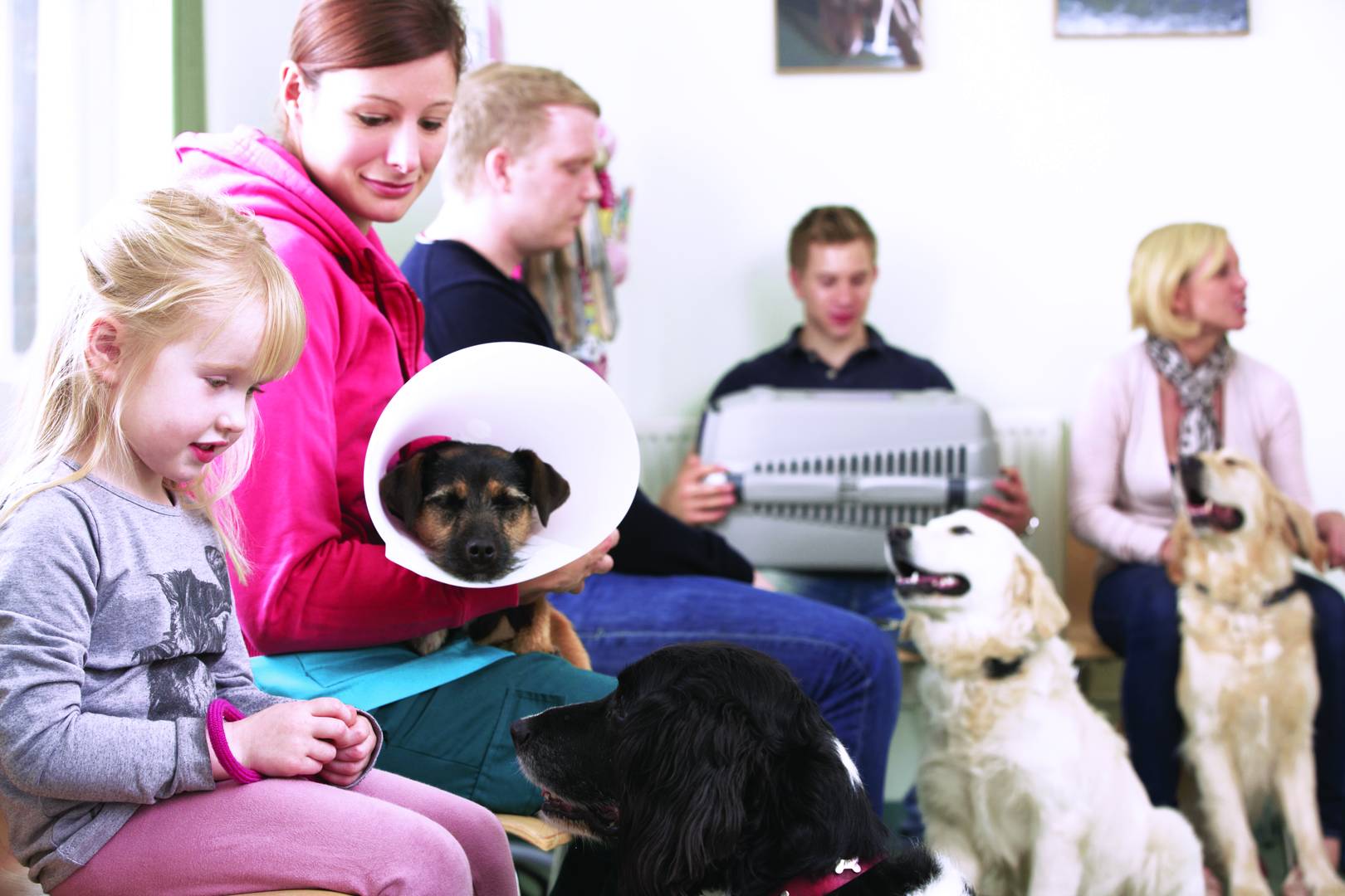 MWI Animal Health U.K. A Veterinary Solutions Provider