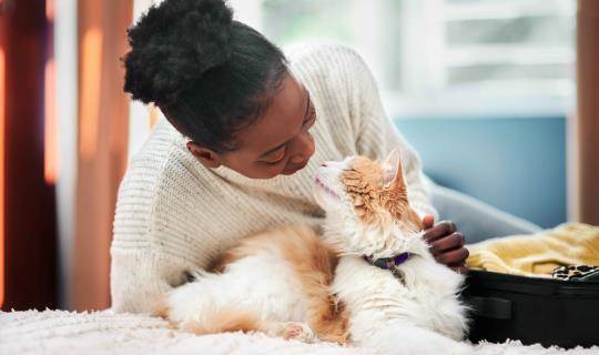 Woman petting and being close with her cat at home