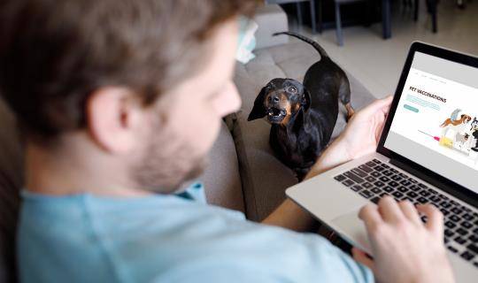 Man on computer researching pet vaccinations