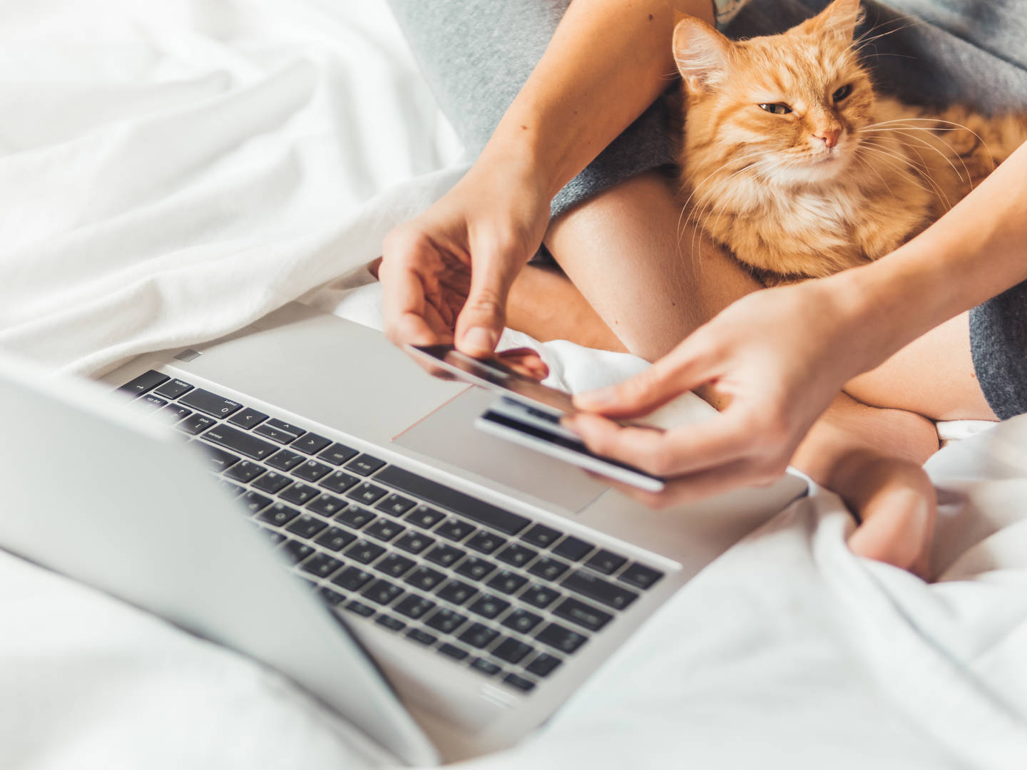 Woman looks at laptop with her cat and credit card