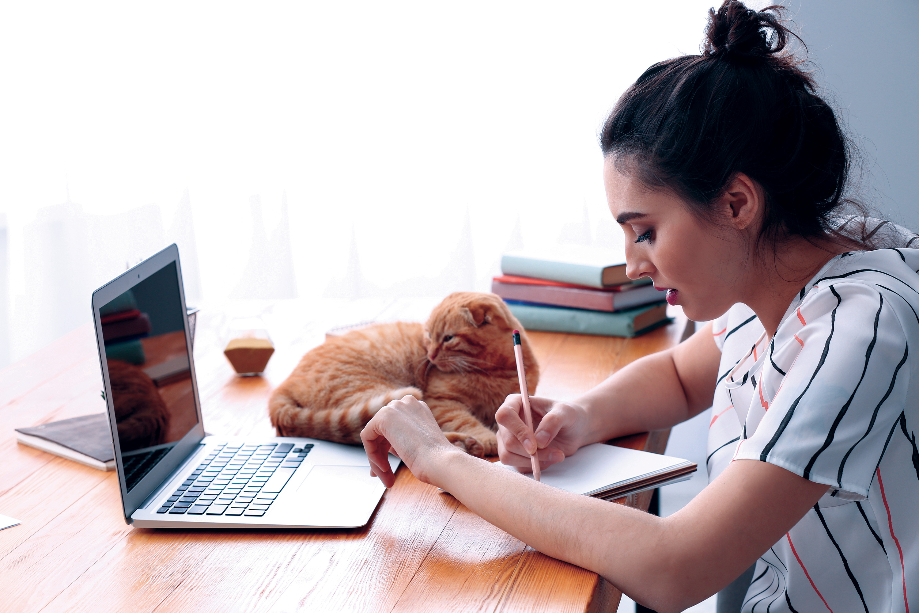 woman-cat-laptop